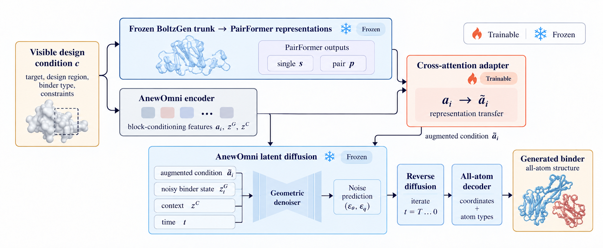 Target and constraints feed a frozen PairFormer above and the frozen AnewOmni encoder below. Trainable projection MLPs and cross-attention enrich native scalar conditioning. Native latents pass unchanged into frozen AnewOmni diffusion, followed by the frozen decoder and generated structure.
